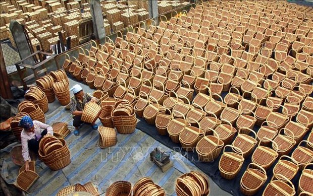 Comercio exterior de productos agroforestales y pesqueros de Vietnam aumenta en primer trimestre hinh anh 2