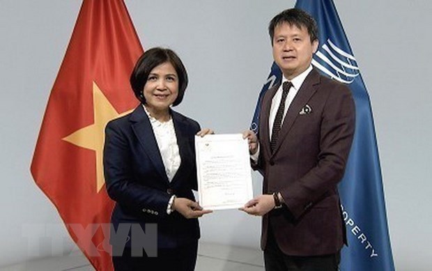 Vietnam se adhiere al Tratado de la OMPI sobre Interpretacion o Ejecucion y Fonogramas hinh anh 1