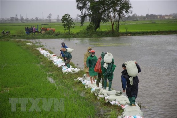 Premier vietnamita insta a superar perdidas causadas por inundaciones hinh anh 1