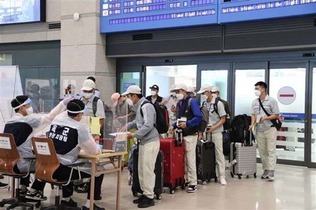 Corea del Sur aumenta uso de trabajadores extranjeros, incluyendo de Vietnam hinh anh 1