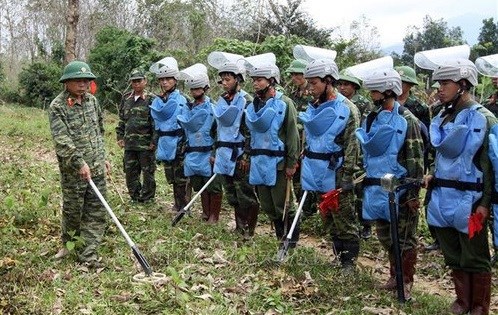 Vietnam comparte en la ONU experiencias para superar secuelas de bombas hinh anh 1