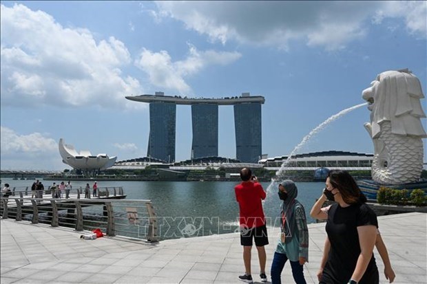 Singapur podria endurecer la politica monetaria hinh anh 1