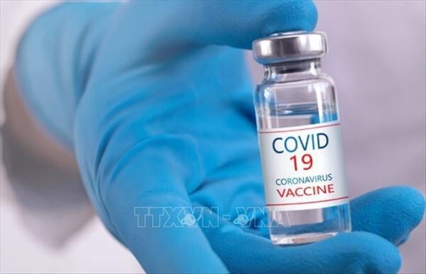 Debaten progreso de tres vacunas vietnamitas contra el COVID-19 hinh anh 1