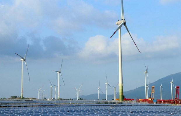 Dos centrales eolicas puestas en funcionamiento en provincia vietnamita hinh anh 1