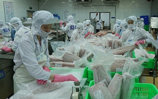 Vietnam apunta a desatascar exportaciones acuicolas hinh anh 1
