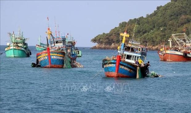 Provincia vietnamita cumple medidas contra pesca ilegal hinh anh 1