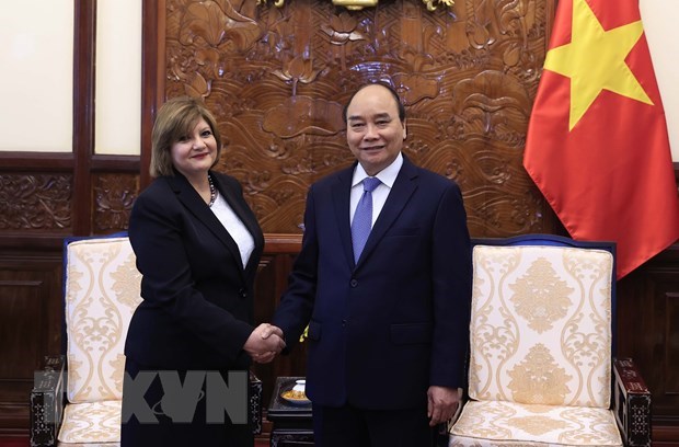 Presidente de Vietnam recibe a nuevos embajadores de Belarus y Egipto hinh anh 2