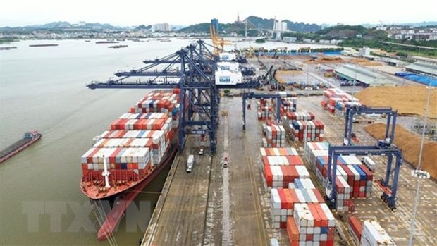 Proponen centrarse en desarrollar flota de contenedores de Vietnam para comercio exterior hinh anh 1