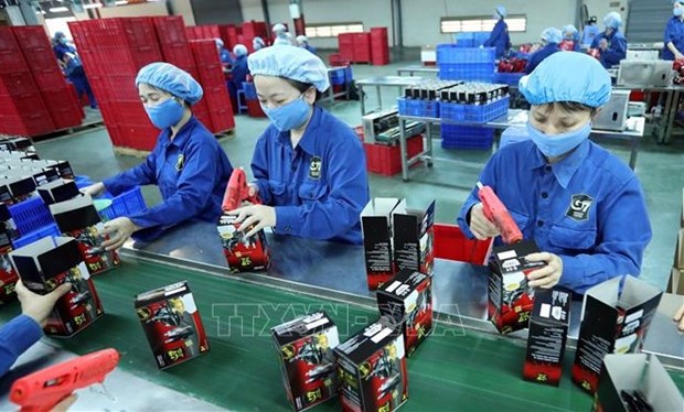 Vietnam realizara encuesta empresarial a nivel nacional de 2022 hinh anh 1