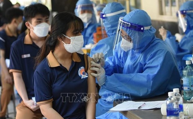 Vietnam prepara dos guiones de prevencion y lucha antiepidemica hinh anh 1