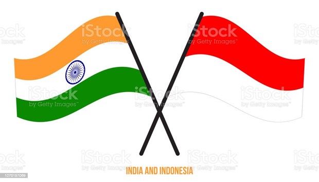India e Indonesia realizan septima consulta diplomatica hinh anh 1