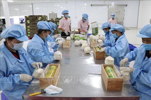 Respaldan a empresas vietnamita a exportar productos al mercado aleman hinh anh 1