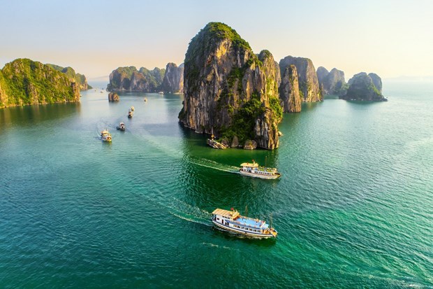 📝Enfoque: Turismo de Vietnam recupera dinamismo tras la reapertura hinh anh 4