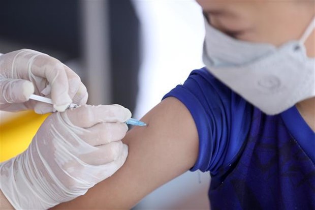 Vietnam acelera esfuerzos por el suministro de vacunas antiCOVI-19 para ninos hinh anh 1
