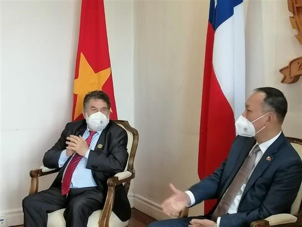 Promueven cooperacion entre localidades de Vietnam y Chile hinh anh 1