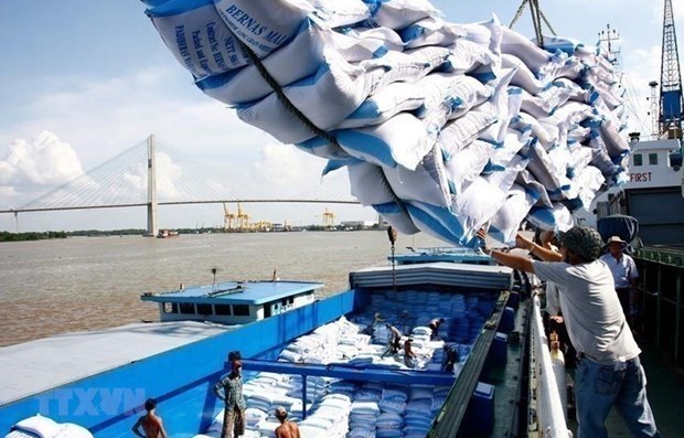 Exportaciones de arroz de Vietnam aumentaron 24 por ciento en primer trimestre de 2022 hinh anh 1