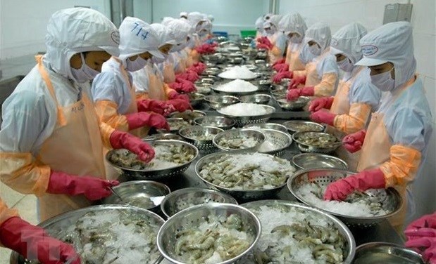 Vietnam promueve exportaciones pesqueras a la Union Europea hinh anh 1