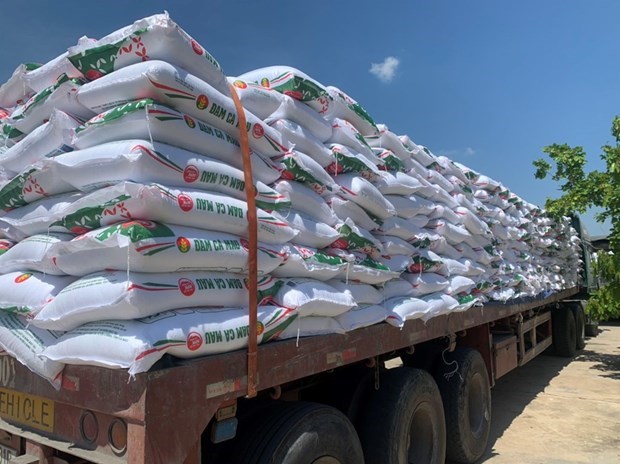 Ganancias de PetroVietnam Camau Fertilizer aumentan 10 veces en el primer trimestre hinh anh 1