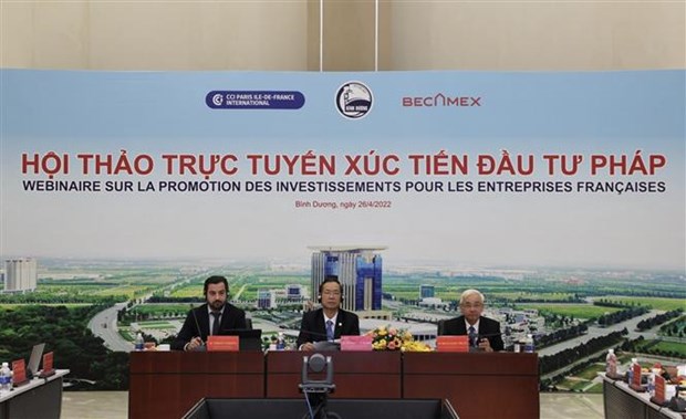 Estimulan inversion francesa en provincia vietnamita hinh anh 2