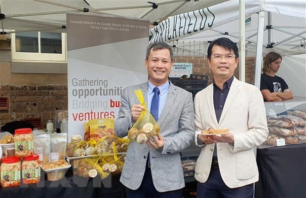 Buscan promover chicozapote congelado vietnamita a Australia hinh anh 1