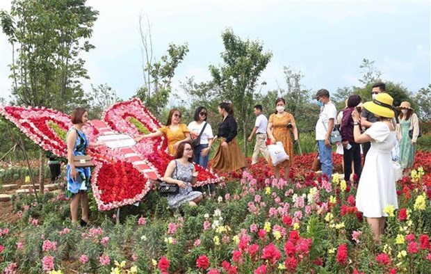 Sa Pa de Vietnam recibe cifra record de visitantes durante cuatro dias feriados hinh anh 1