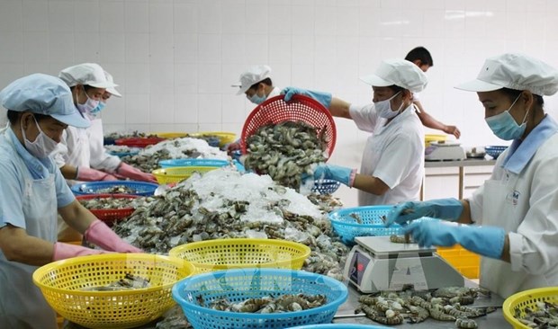 Incrementan exportaciones de productos agroforestales y acuaticos vietnamitas hinh anh 1