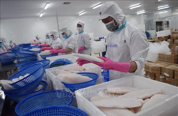Ascienden ventas de productos acuaticos de Vietnam al exterior hinh anh 1
