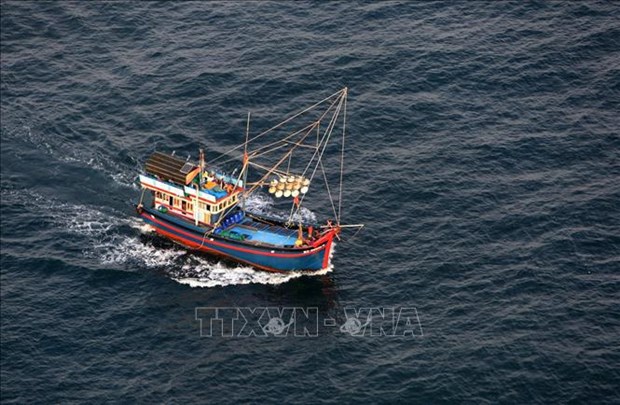Asociacion de Pesca de Vietnam rechaza prohibicion china de pesca en Mar del Este hinh anh 1