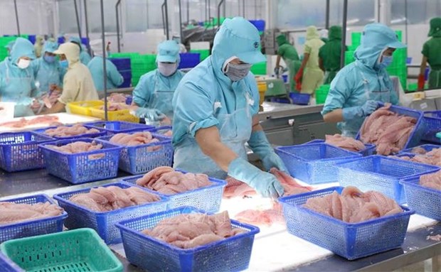 Exportaciones de productos acuicolas vietnamitas aumentan casi 44 por ciento hinh anh 1