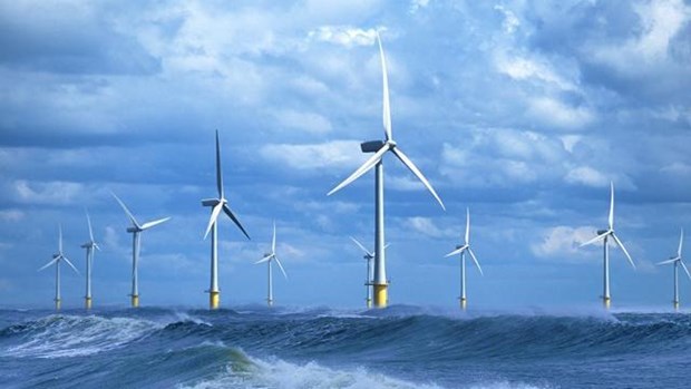 Grupo noruego interesado en energia eolica marina de Vietnam hinh anh 1