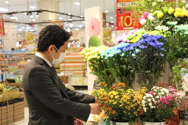 Flores de Vietnam son preferidas de consumidores japoneses hinh anh 2
