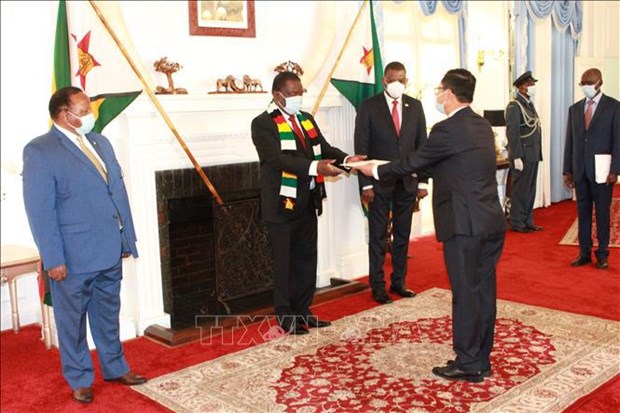 Zimbabue desea desarrollar relaciones con Vietnam en diversos sectores hinh anh 1