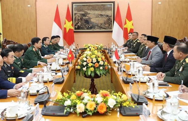 Ministro de Defensa de Indonesia visita Vietnam hinh anh 2