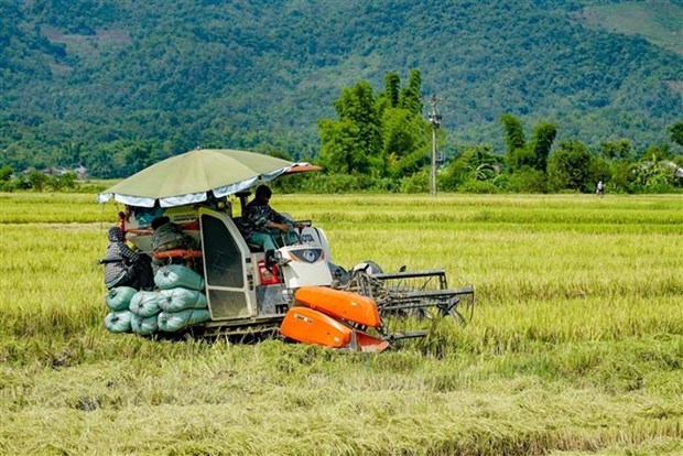 Coloquio en Washington busca estrechar lazos entre empresas agricolas de Vietnam y EE.UU. hinh anh 1