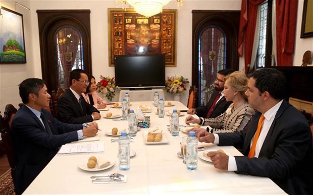 Vietnam y Paraguay fortalecen cooperacion cultural hinh anh 1