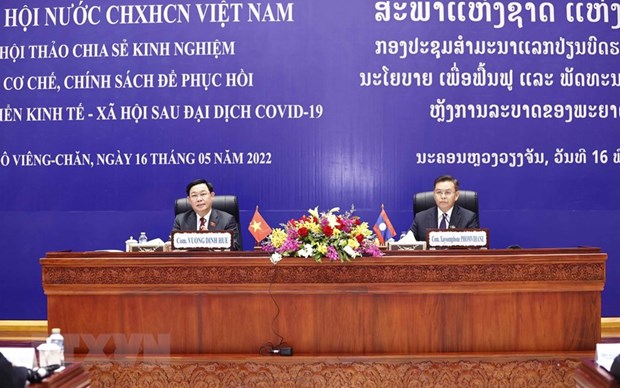 Vietnam y Laos intercambian experiencias en recuperacion posCOVID-19 hinh anh 1