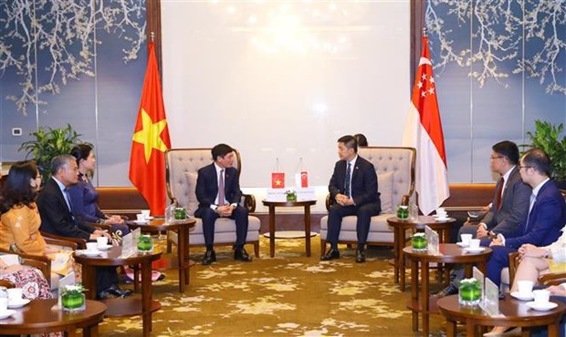 Destacan relaciones entre Singapur y Vietnam hinh anh 2