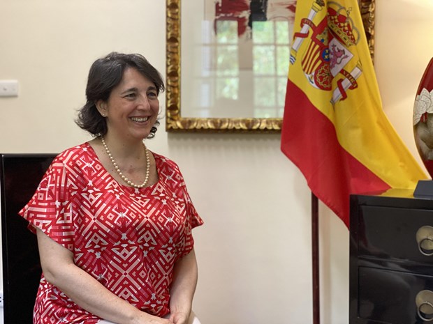 Resaltan perspectivas para cooperacion Vietnam-Espana en transicion energetica hinh anh 1