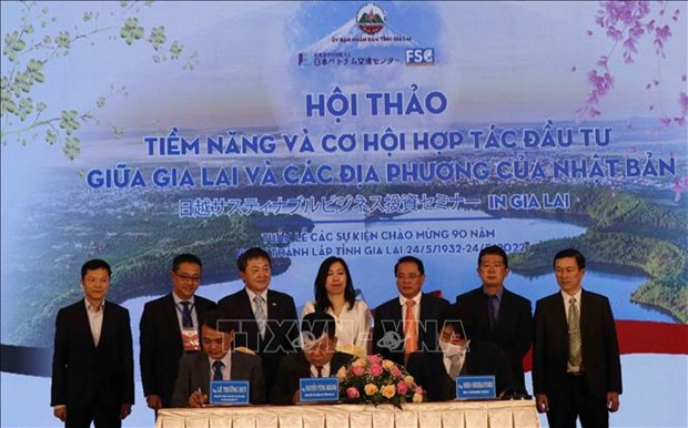 Debaten potenciales de cooperacion entre provincia altiplana vietnamita y Japon hinh anh 1