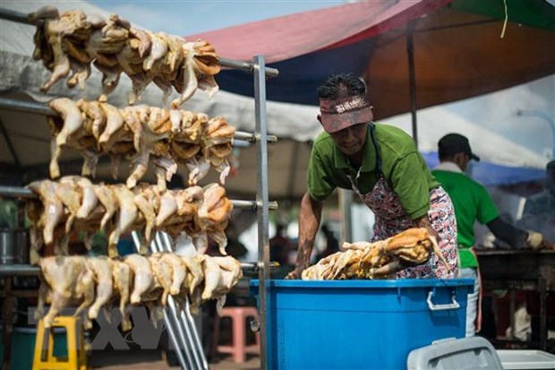 Malasia suspende exportaciones de pollo a partir del 1 de junio hinh anh 1