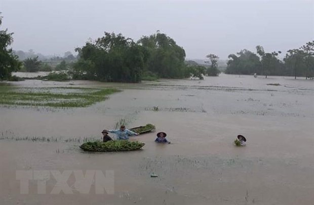 Pronostican lluvias intensas en region montanosa nortena de Vietnam hinh anh 1