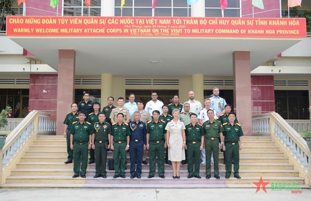 Agregados militares extranjeros visitan Comando Militar de provincia vietnamita hinh anh 1