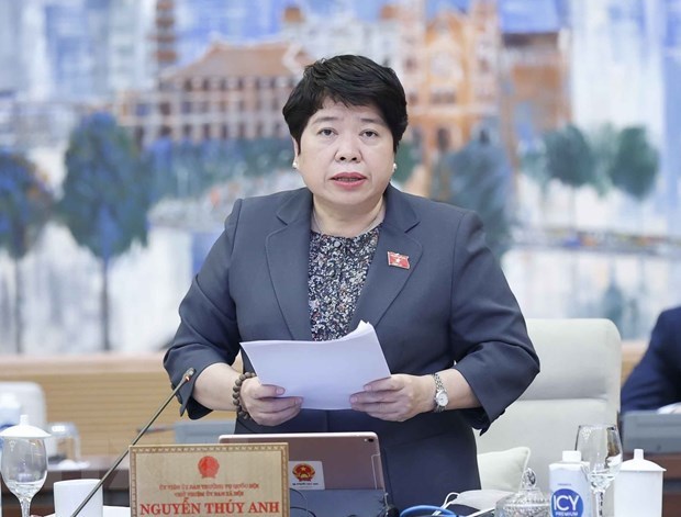 Asamblea Nacional de Vietnam analiza ley de prevencion y lucha contra la violencia domestica hinh anh 1