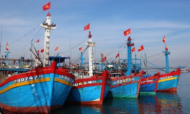 Vietnam proyecta contar con 184 puertos pesqueros para 2050 hinh anh 2