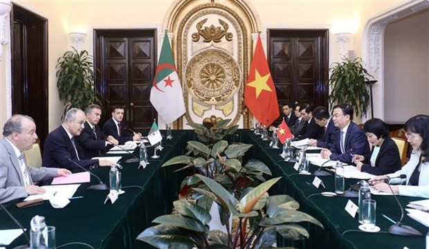 Vietnam y Argelian efectuan consulta politica a nivel de vicecanciller hinh anh 1