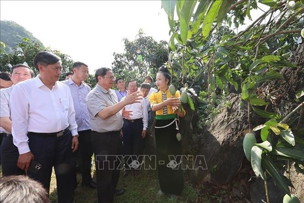 Premier de Vietnam inspecciona calidad de obras infraestructurales clave provinciales hinh anh 1