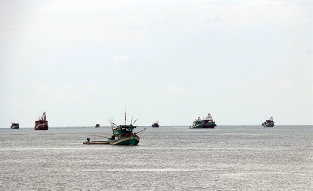Provincia de Ca Mau equipa barcos pesqueros con dispositivo de monitoreo hinh anh 1