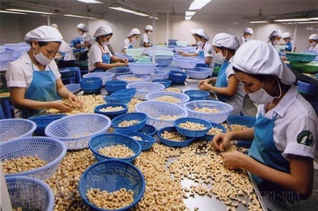 Vietnam importa casi dos mil millones de dolares de productos agricolas de Camboya hinh anh 1