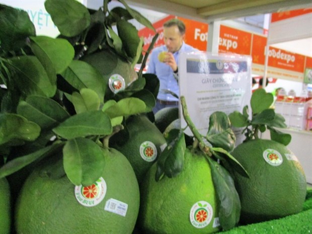 Vietnam posee potenciales para exportacion de sus frutas a Estados Unidos hinh anh 1
