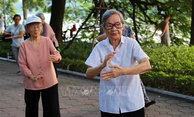 Trabajan por mejorar calidad de vida de ancianos en Vietnam hinh anh 1